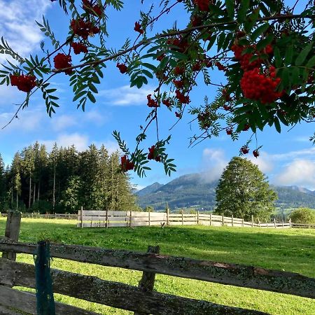Appartements Blumenwiese Ramsau am Dachstein Zewnętrze zdjęcie