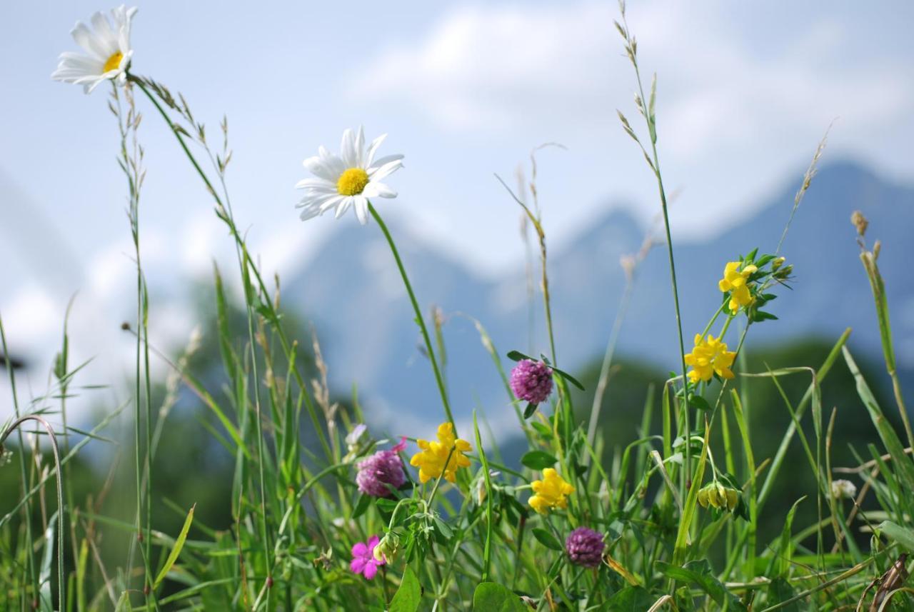 Appartements Blumenwiese Ramsau am Dachstein Zewnętrze zdjęcie