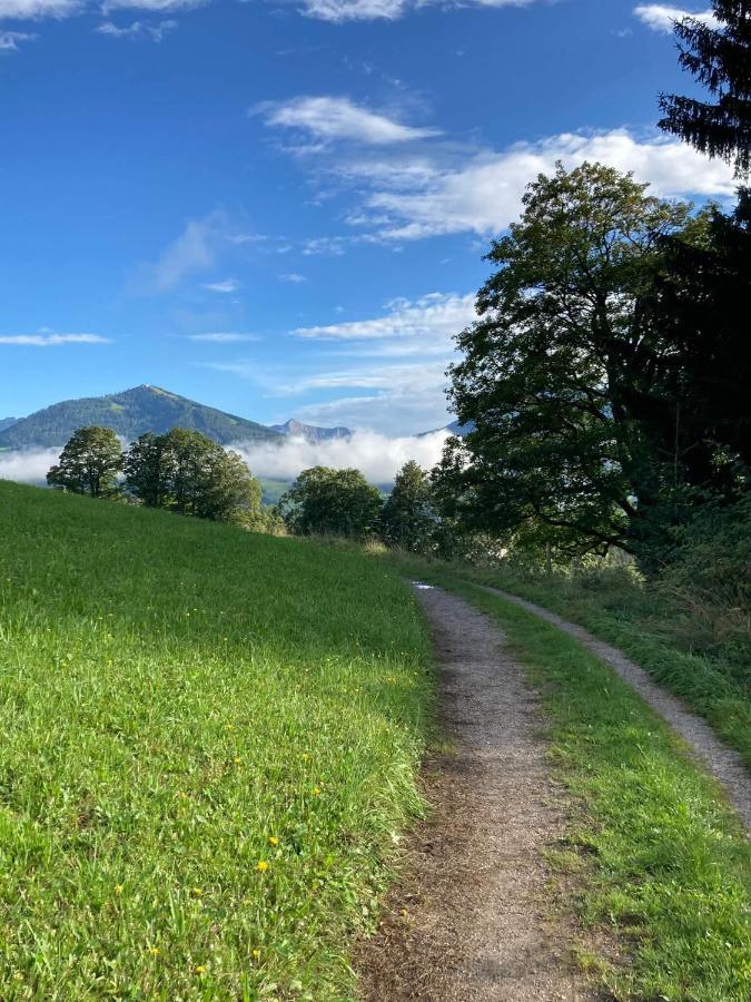 Appartements Blumenwiese Ramsau am Dachstein Zewnętrze zdjęcie