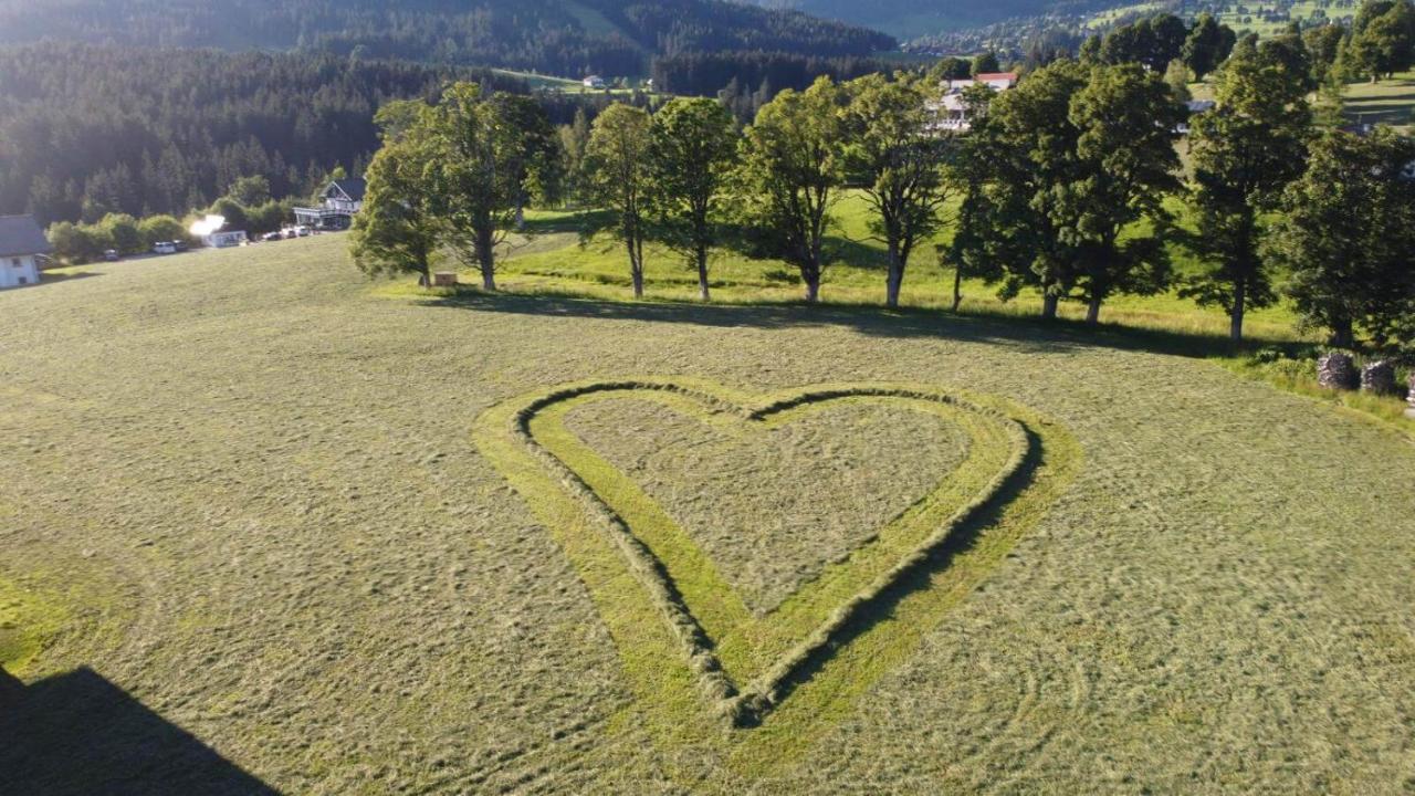 Appartements Blumenwiese Ramsau am Dachstein Zewnętrze zdjęcie