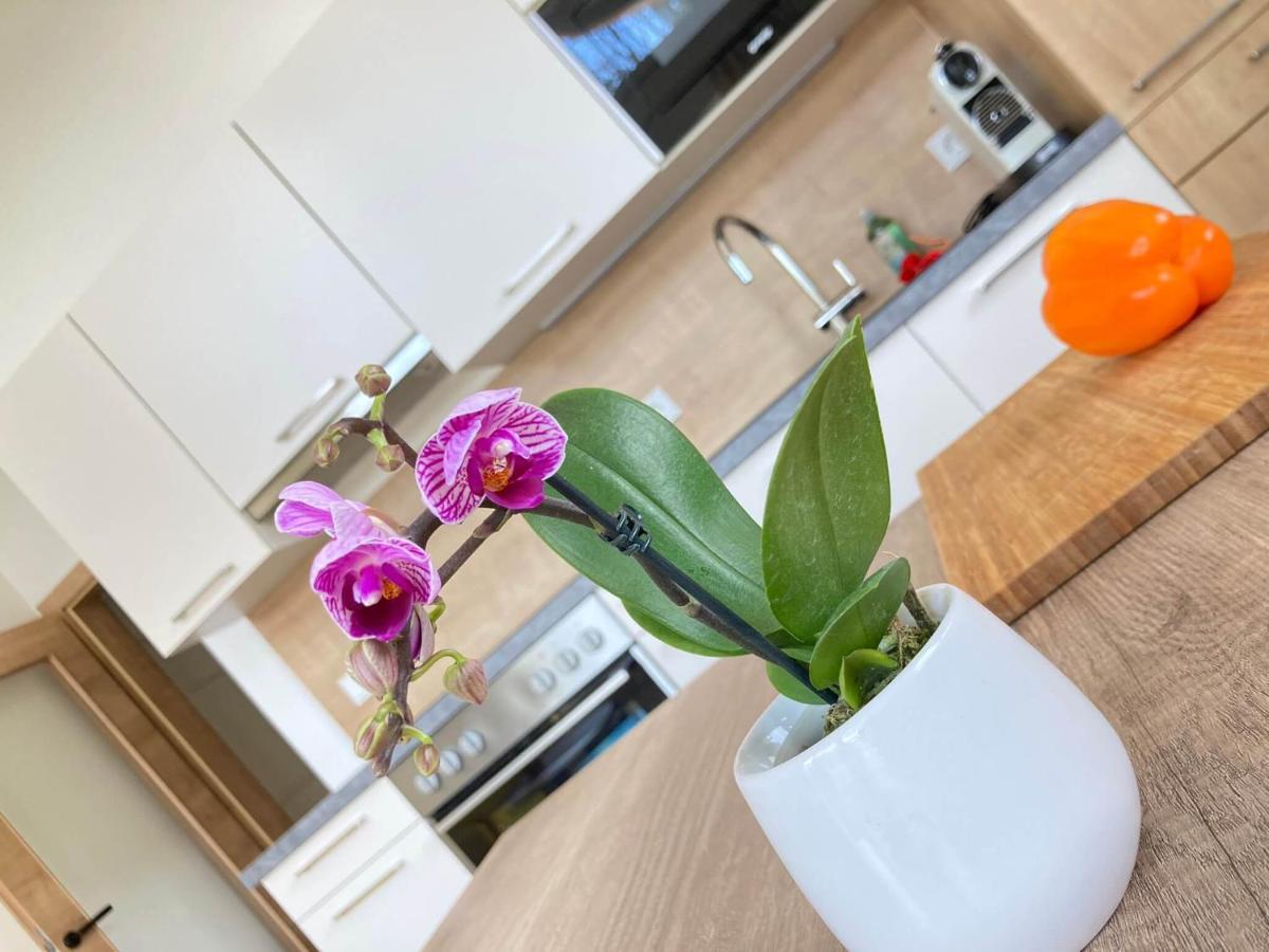 Appartements Blumenwiese Ramsau am Dachstein Zewnętrze zdjęcie